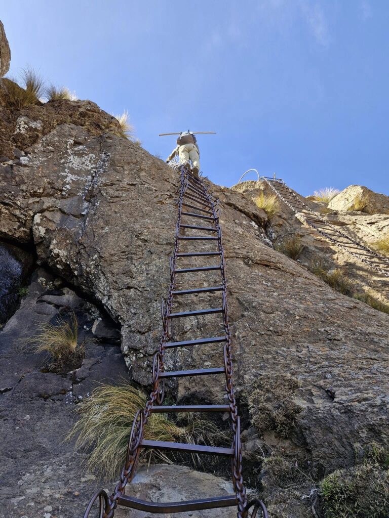 Drakensberg Walking Excursions Ladder