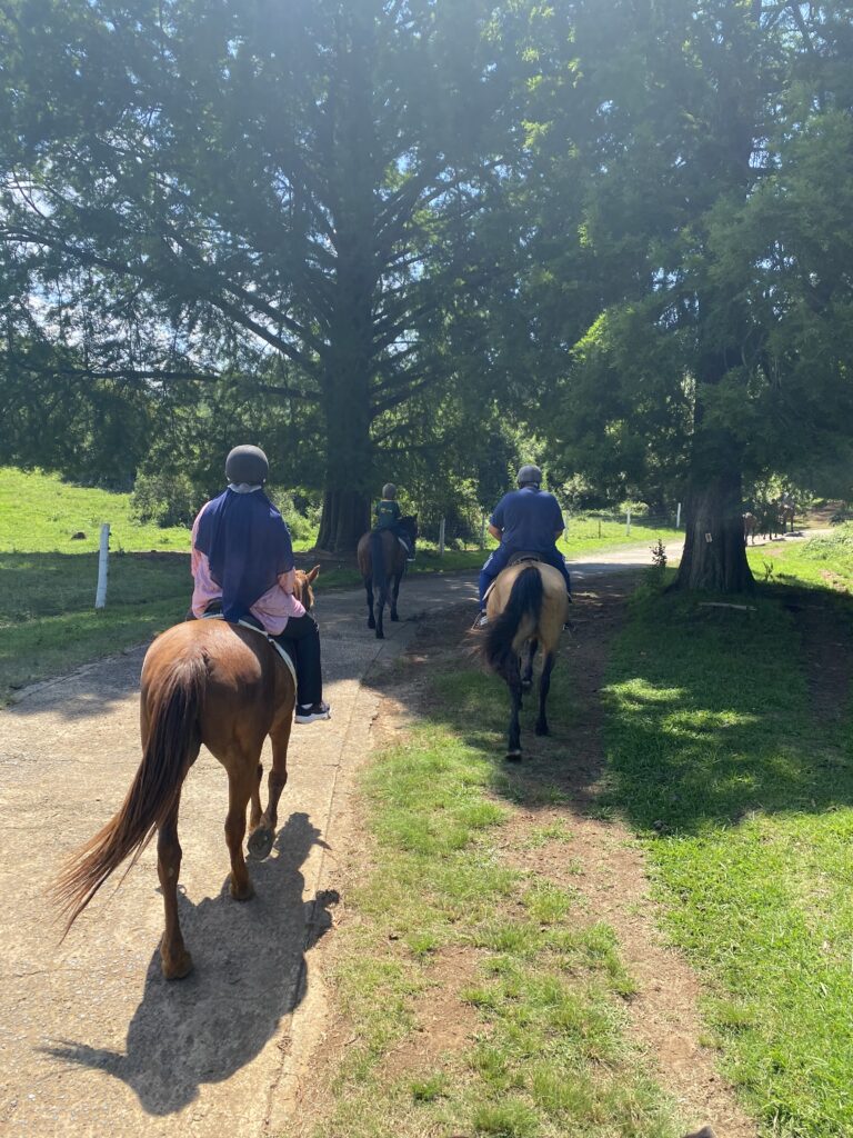 Cathkin Equestrian Centre Outride Sunny Day