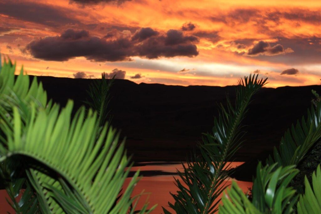 Treks, Trips & Trails Sunset