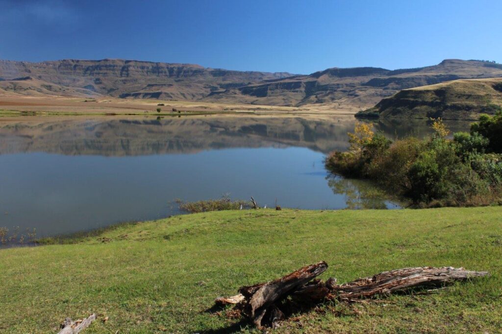 Treks, Trips & Trails Dam View